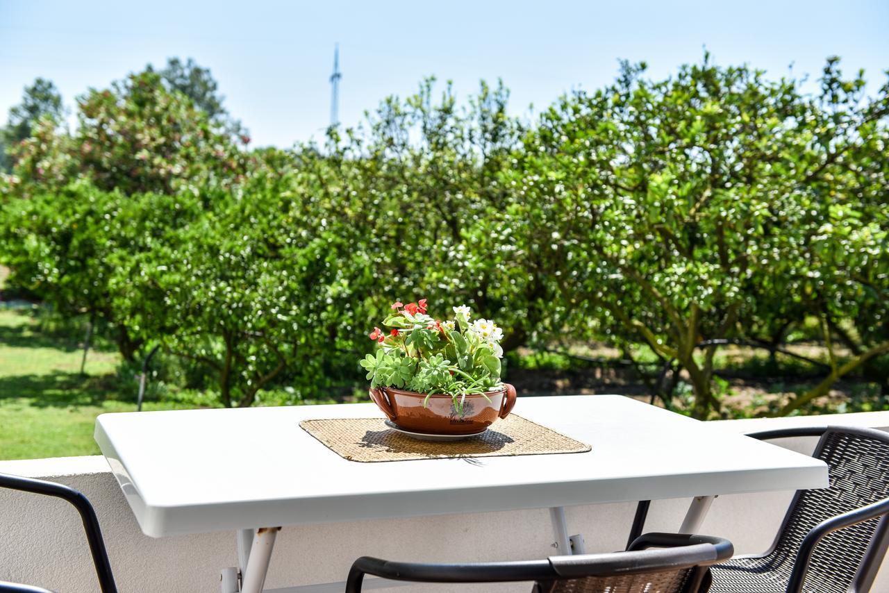 Sunrise house apartments Ulcinj Extérieur photo